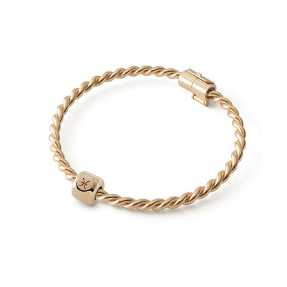 Charms ze znakiem zodiaku Ryby (♓︎) Pozłacany - Złoto pr. 585