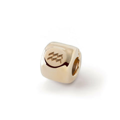 <tc>Charms</tc> with the Aquarius zodiac sign (♒︎) Gold-plated - 925 silver